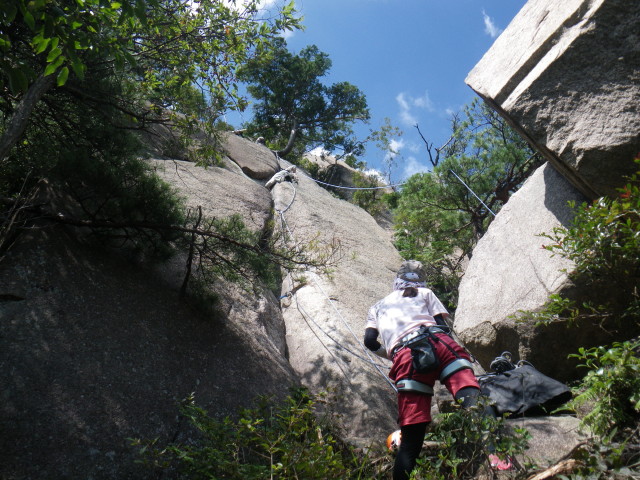 d0006512_22364142.jpg