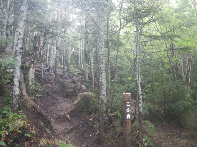 d0006512_224168.jpg