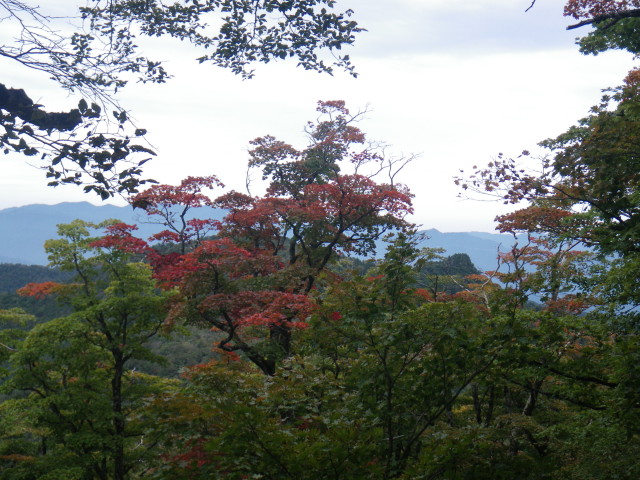 d0006512_23575051.jpg