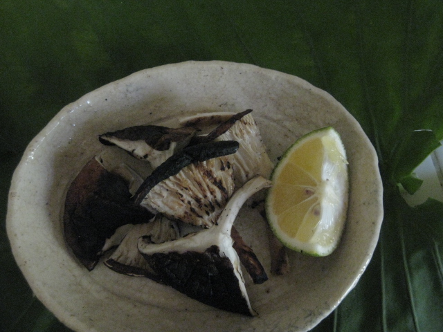 c0085916_048347.jpg