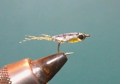 b0259124_12335690.jpg
