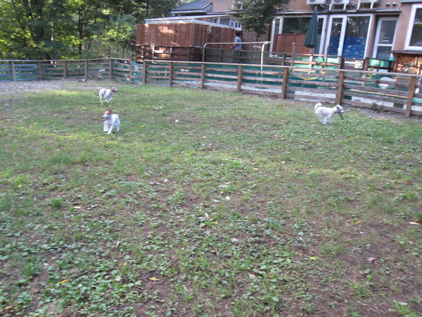 b0188228_22294048.jpg