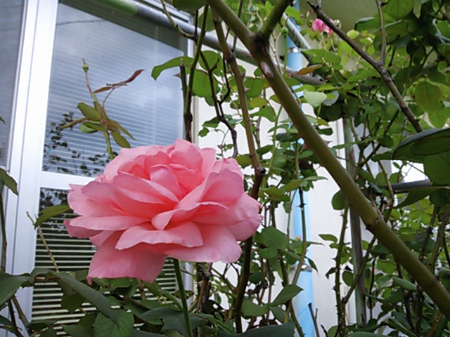 a0211435_13171238.jpg