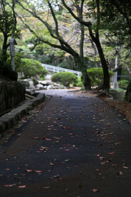 a0242438_22232046.jpg