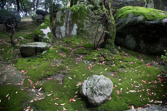 a0242438_22232727.jpg