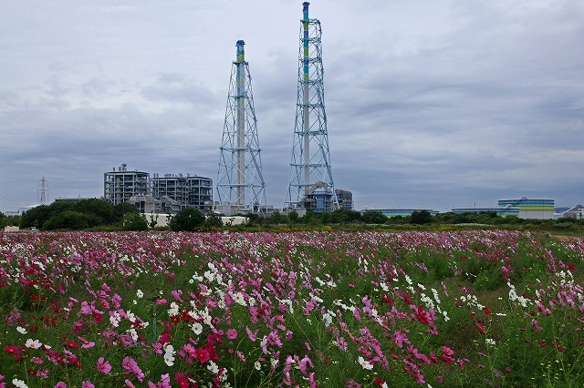 a0242438_2224455.jpg