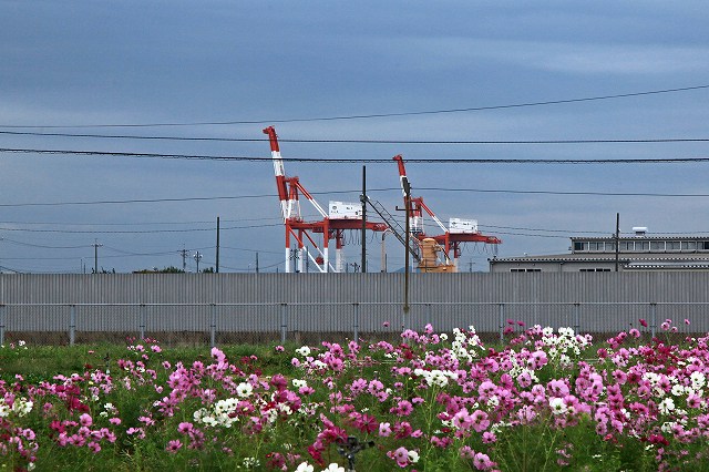 a0242438_2225136.jpg