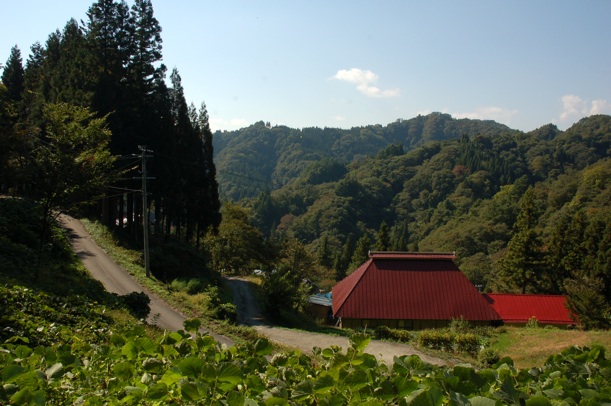 c0002943_226198.jpg