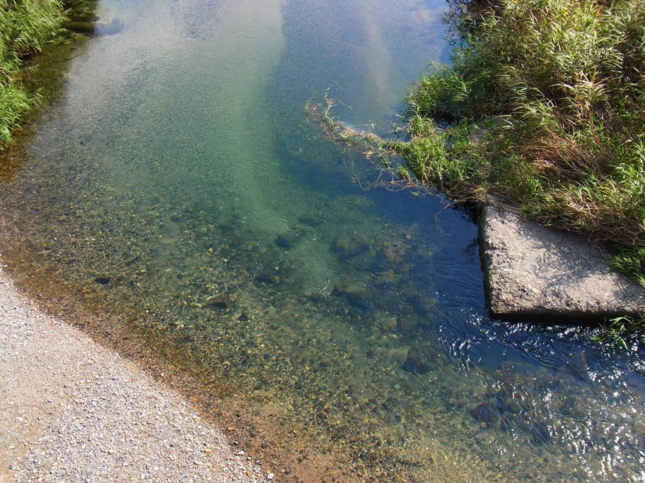c0236857_22492065.jpg