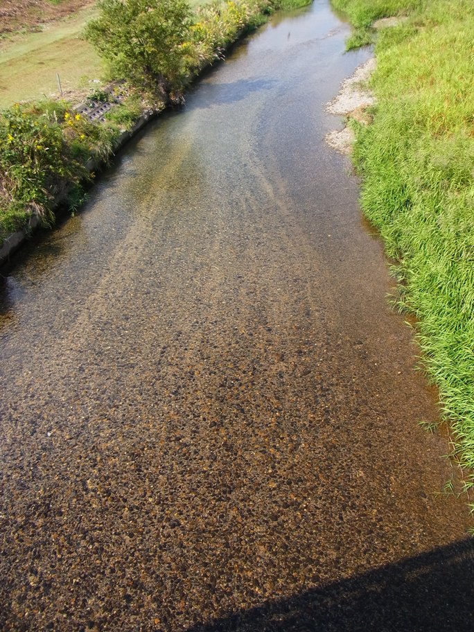 c0236857_22492843.jpg
