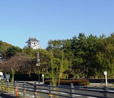 e0044657_2395388.jpg