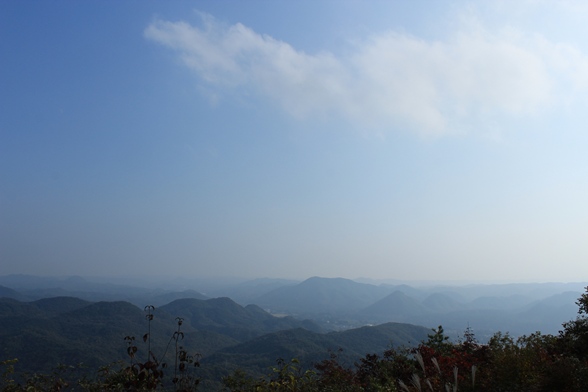 e0239458_20561786.jpg