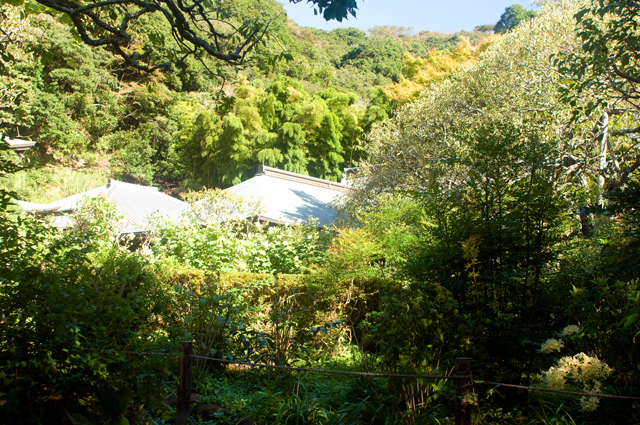 f0176458_22272846.jpg