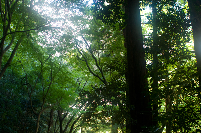 f0176458_2291390.jpg