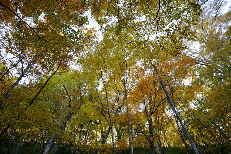 f0222161_9331958.jpg