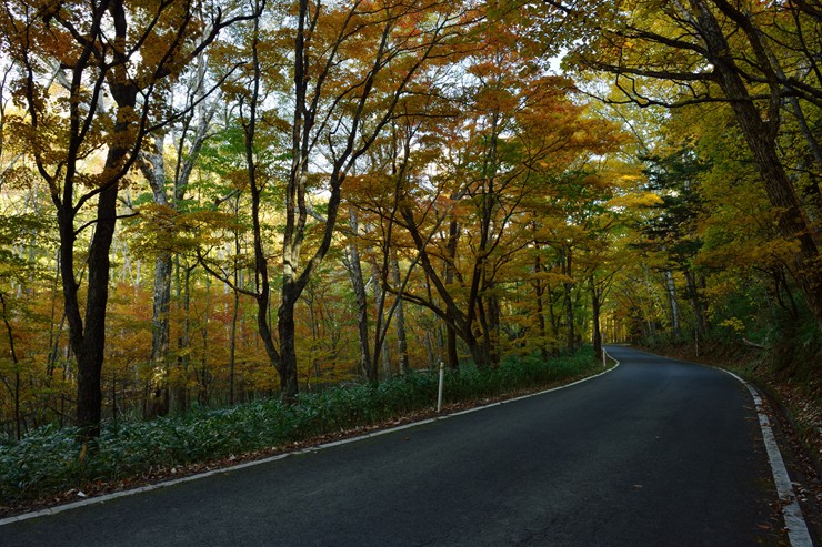 f0222161_9332350.jpg