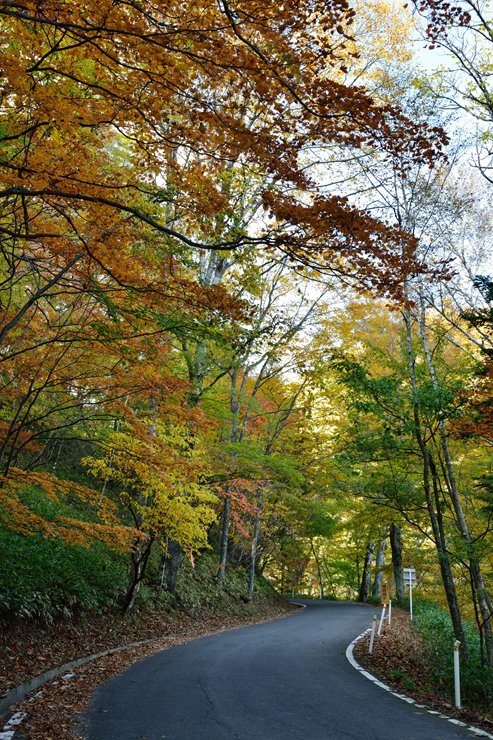 f0222161_933918.jpg