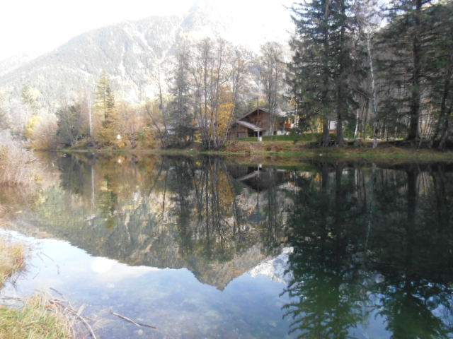d0258462_14361921.jpg
