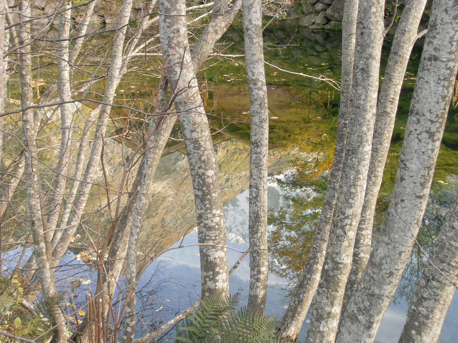 d0258462_14374652.jpg