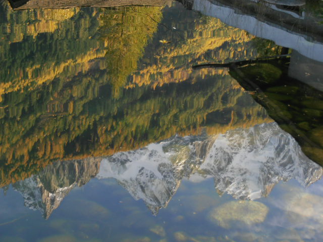 d0258462_14382235.jpg