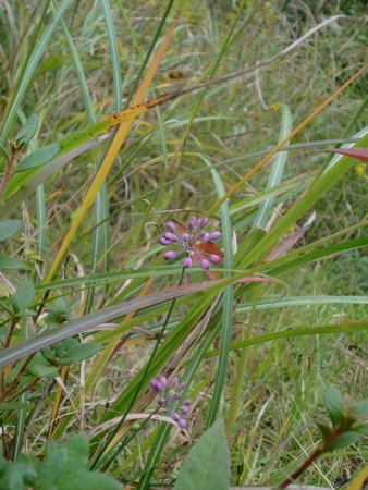 d0105063_12502077.jpg