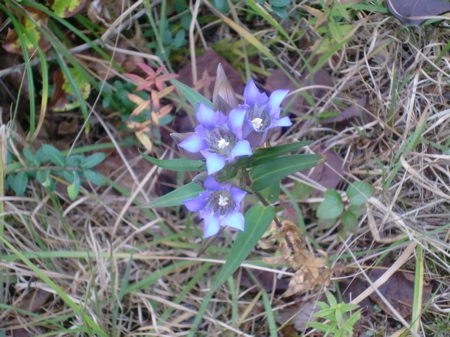 d0105063_12504962.jpg