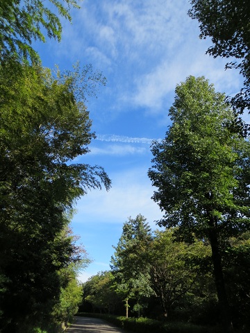 d0120665_2315796.jpg