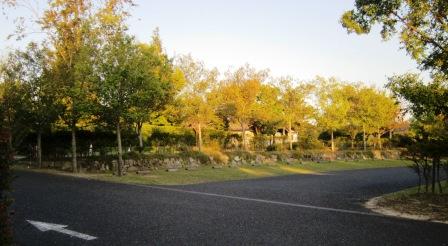 c0171368_20373246.jpg