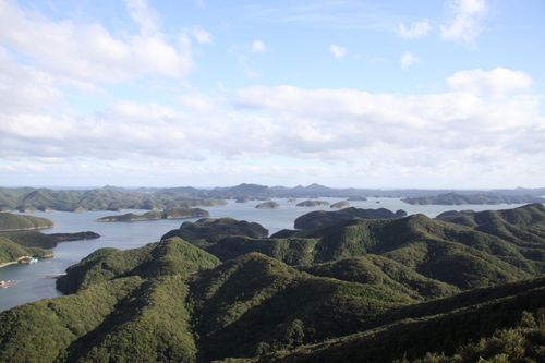 f0207669_17331270.jpg
