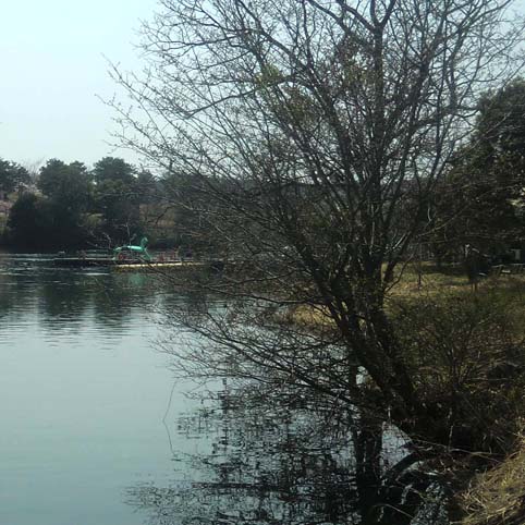 f0176370_17553318.jpg