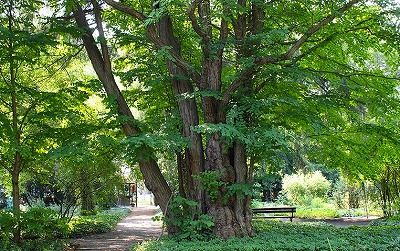 b0171771_1631246.jpg