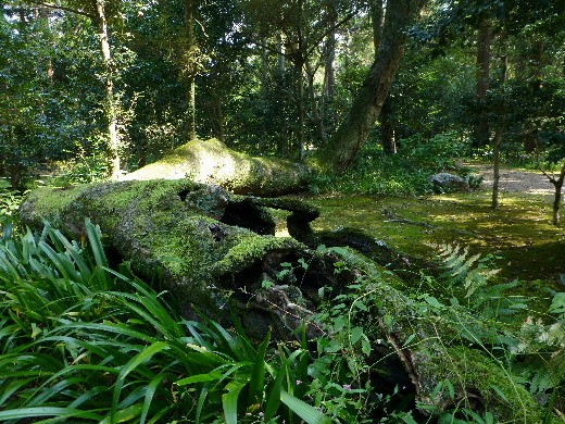 d0084473_14305579.jpg