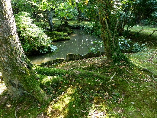 d0084473_14314536.jpg