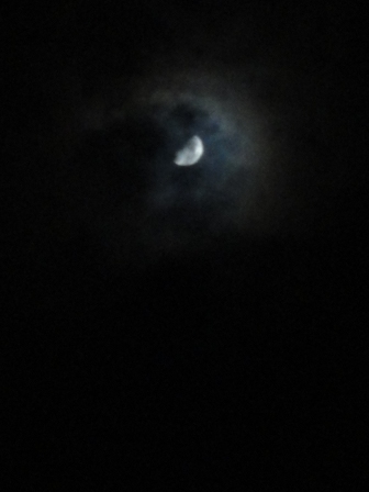 d0109373_2158698.jpg