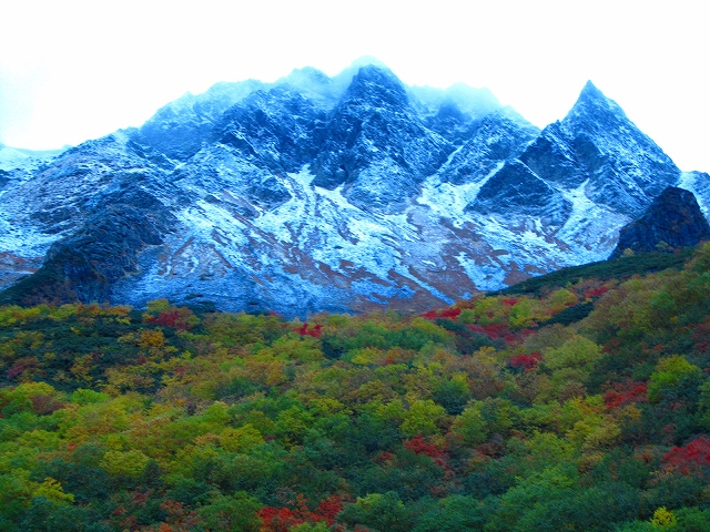 a0191674_11173296.jpg
