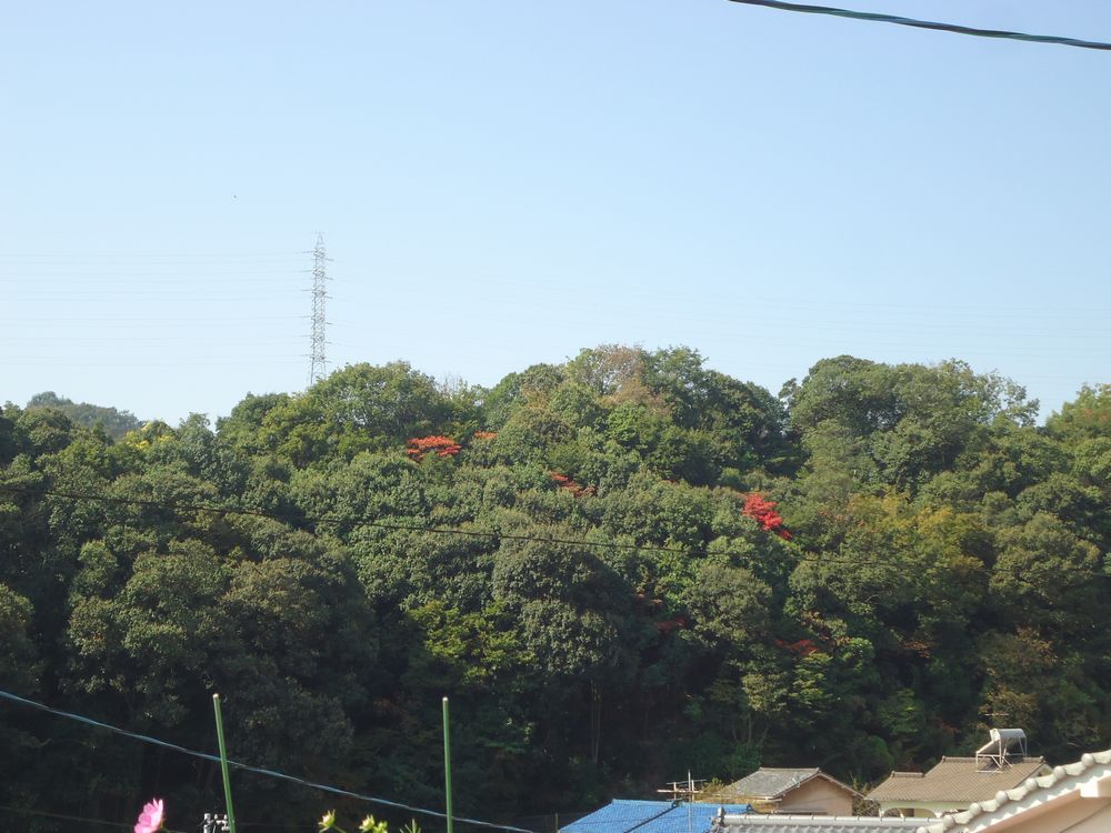 e0264374_12321418.jpg