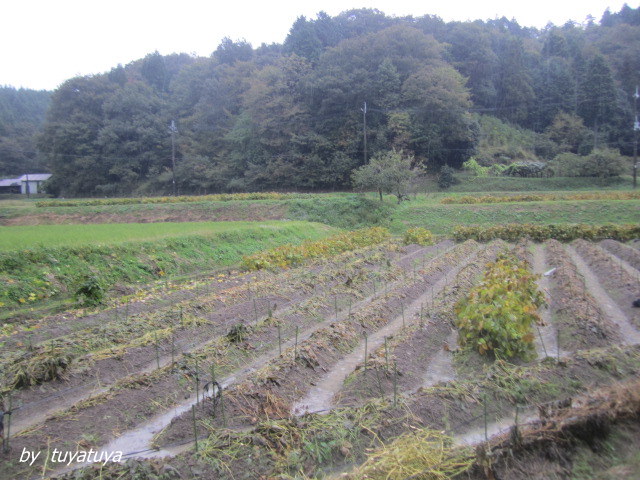 b0245877_23195371.jpg