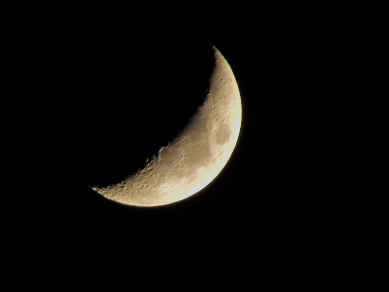 c0183777_4583792.jpg