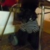 d0266681_19133397.jpg
