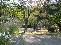 a0142083_14515512.jpg