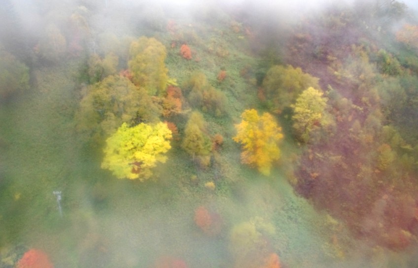c0144185_1827633.jpg