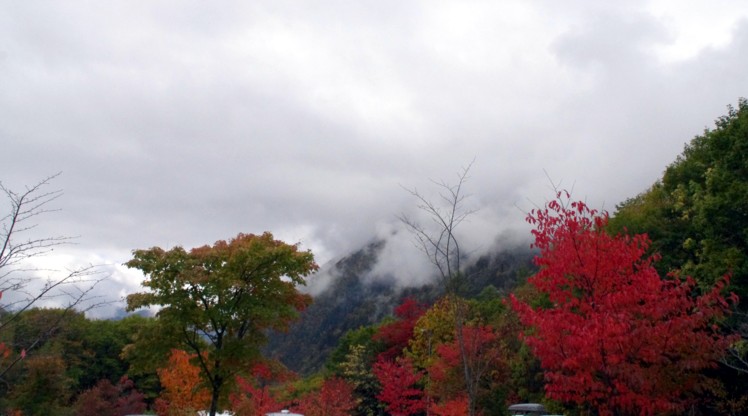 c0144185_2231743.jpg