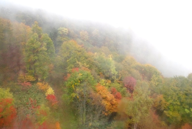 c0144185_2261648.jpg