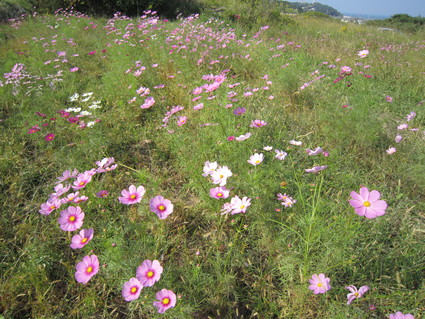 f0053885_2164346.jpg