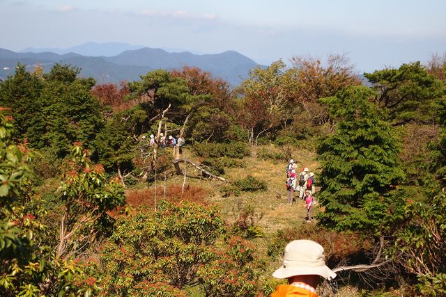 b0108186_072730.jpg