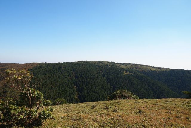 b0108186_11254078.jpg