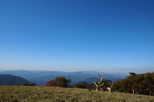 b0108186_1126665.jpg