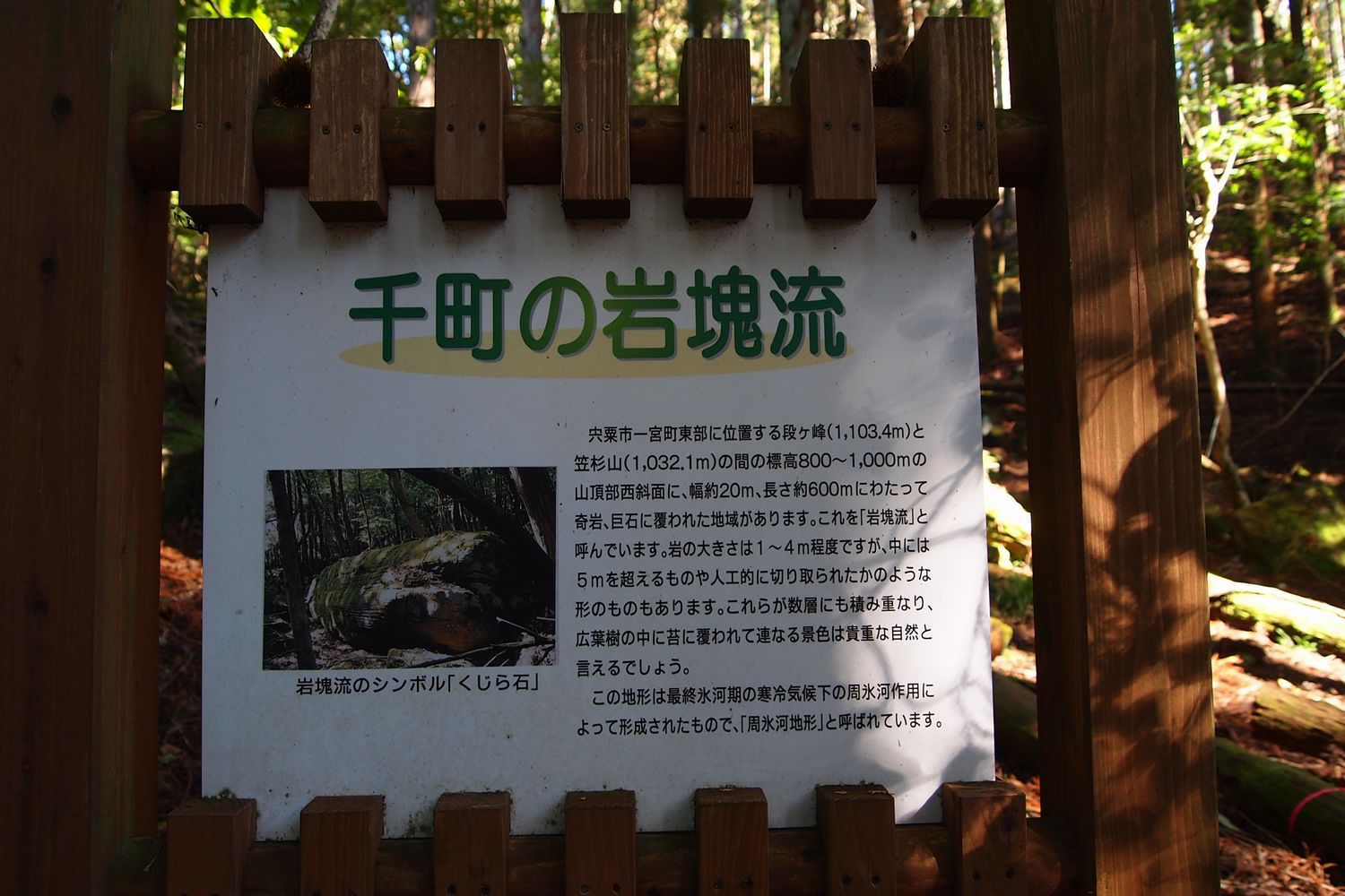 b0108186_11354436.jpg