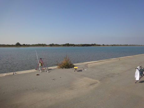 e0264287_1262667.jpg