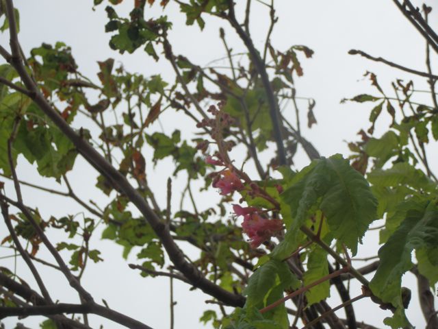 f0130894_2131463.jpg